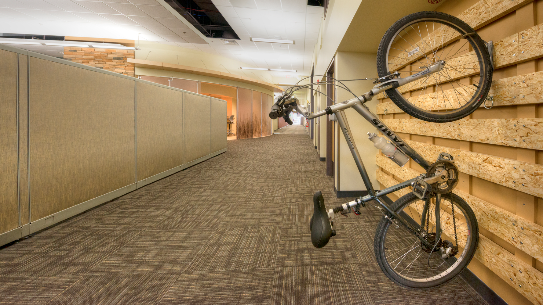 Hallway with brown carpet and walls with gray bike on wooden plank wall