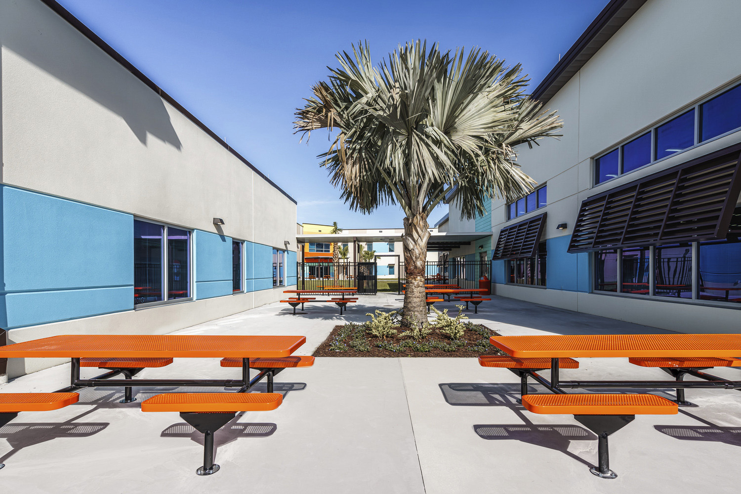outdoor area between two buildings with palm tree and orange picnic tables